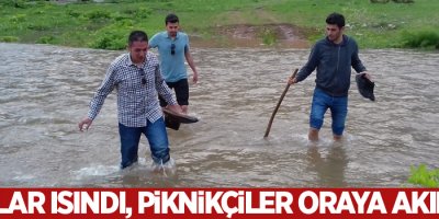 Havalar ısındı, Piknikçiler oraya akın etti