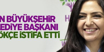 Van Büyükşehir Belediye Başkanı Özgökçe istifa etti