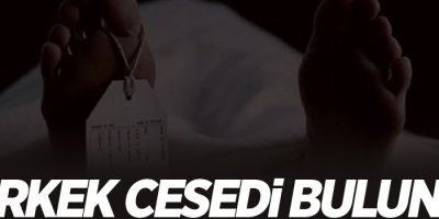 6 erkek cesedi bulundu