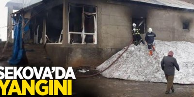 Yüksekova’da ev yangını