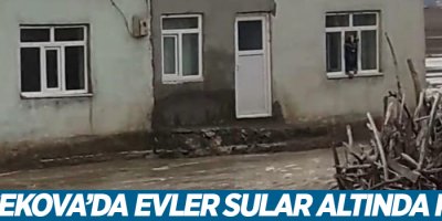 Yüksekova’da dere taştı, evleri su bastı