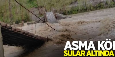 Asma köprü sular altında kaldı