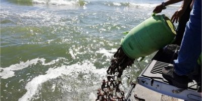 Yasa dışı ava 29 bin TL ceza kesildi