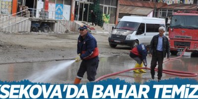 Yüksekova'da bahar temizliği