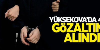 Yüksekova'da 4 kişi gözaltına alındı