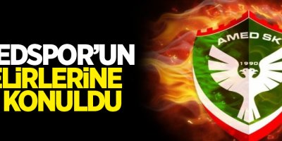 Amedspor’un gelirlerine el konuldu