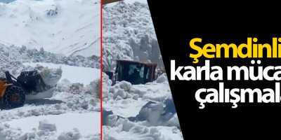 Şemdinli’de karla mücadele çalışmaları
