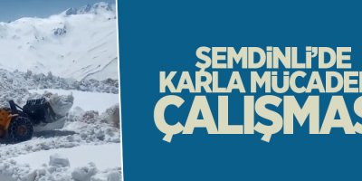 Şemdinli’de karla mücadele çalışmaları