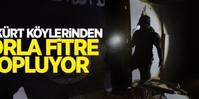 IŞİD Kürt köylerinden zorla fitre topluyor