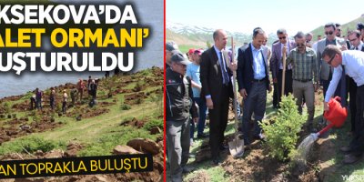 Yüksekova'da 1000 fidan toprakla buluştu