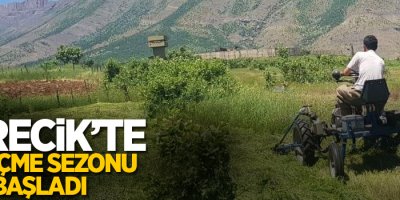Derecik’te ot biçme sezonu başladı