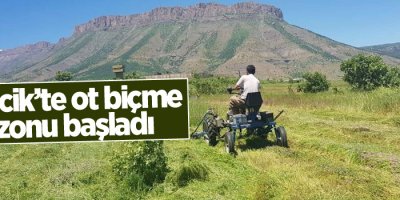 Derecik’te ot biçme sezonu başladı