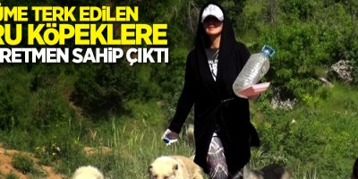 Ölüme terk edilen yavru köpeklere Eda öğretmen sahip çıktı