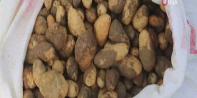 25 kilo salep soğanına 300 bin TL ceza kesildi