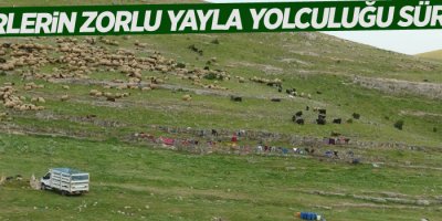 Göçerlerin zorlu yayla yolculuğu sürüyor