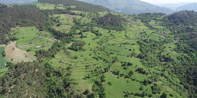 Ecrin'e ait olduğu düşünülen kemiklerin geri kalanı aranıyor