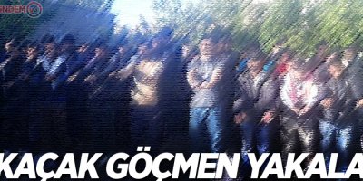 Metruk binada 126 kaçak göçmen yakalandı