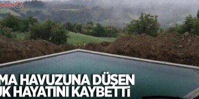 Sulama havuzuna düşen çocuk hayatını kaybetti