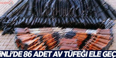 Şemdinli'de 86 adet av tüfeği ele geçirildi