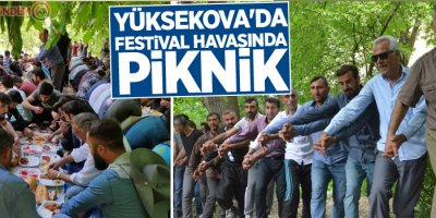 Yüksekova'da festival havasında piknik