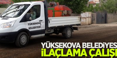 Yüksekova Belediyesinden ilaçlama çalışması