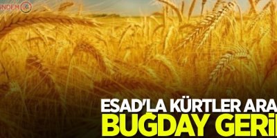 Esad'la Kürtler arasında buğday gerilimi