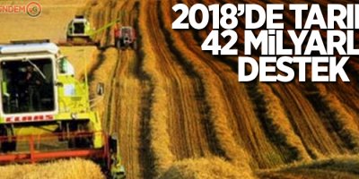 2018’de tarımda 42 milyarlık destek