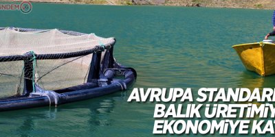 Avrupa standardında balık üretimiyle ekonomiye katkı