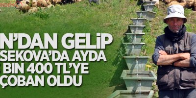 İran’dan gelip Yüksekova’da ayda 3 bin 400 TL’ye çoban oldu
