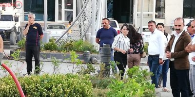 Belediye encümenleri caddeleri yeşillendirdi