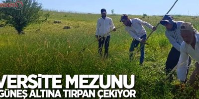 Üniversite mezunu kızgın güneş altına tırpan çekiyor