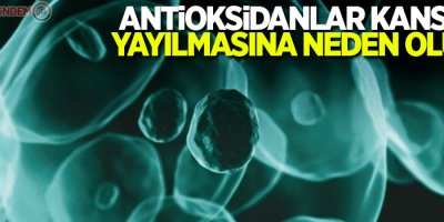 Antioksidanlar kanserin yayılmasına neden oluyor