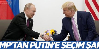 Trump'tan Putin'e seçim şakası