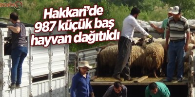 Hakkari’de 987 küçük baş hayvan dağıtıldı