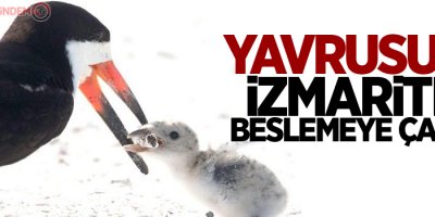 Yavrusunu izmaritle beslemeye çalıştı