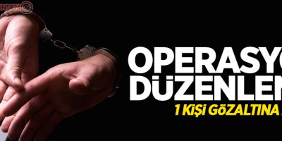 Van’da 9 bin 118 paket kaçak sigara ele geçirildi