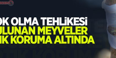 Yok olma tehlikesi bulunan meyveler artık koruma altında