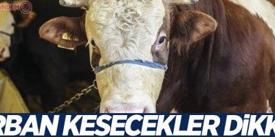 Kurban kesecekler dikkat!
