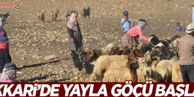 Hakkari’de yayla göçü başladı