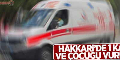 1 kadın ve çocuğu vuruldu
