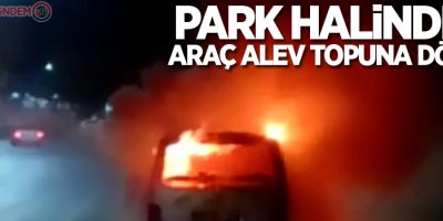 Park halindeki araç alev topuna döndü