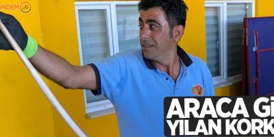 Araca giren yılan korkuttu