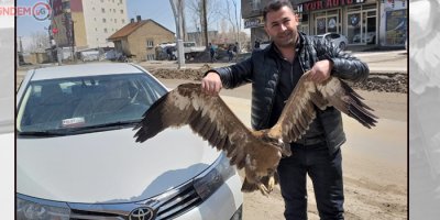 Yaralı bulunan bozkır kartalı tedavi altına alındı