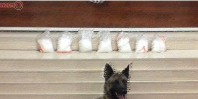 Van’da 3 kilo 425 gram metamfetamin ele geçirildi