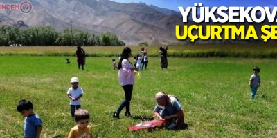 Yüksekova’da uçurtma şenliği