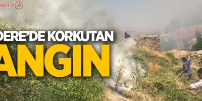 Esendere'de korkutan yangın