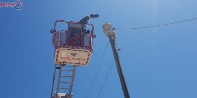 Mahsur kalan kedi itfaiye tarafından kurtarıldı