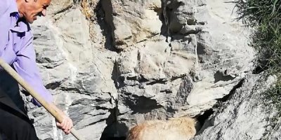 Hakkari'de kayalıklarda sıkışan köpek kurtarıldı