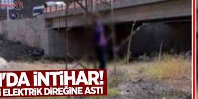 Van'da intihar! Kendini elektrik direğine astı