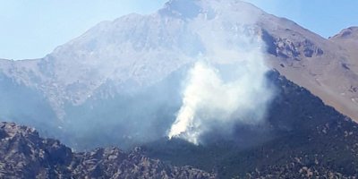 Adana'da orman yangını